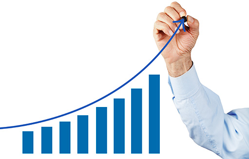 Platform 1 History and Team