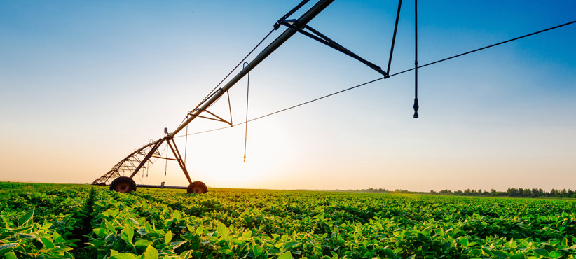 Nurturing growth to the next level